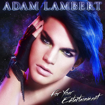 Cover de For Your Entertainment