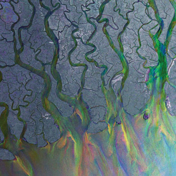 Cover de An Awesome Wave