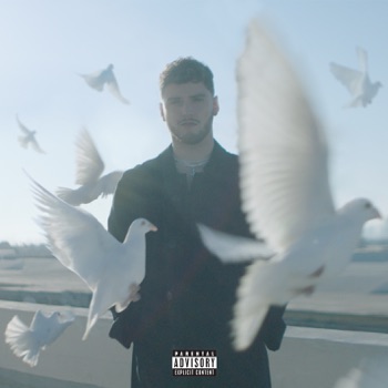 Cover de Soul Searching