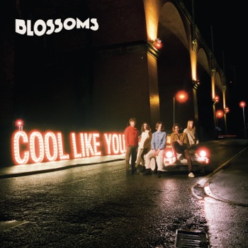 Cover de Cool Like You