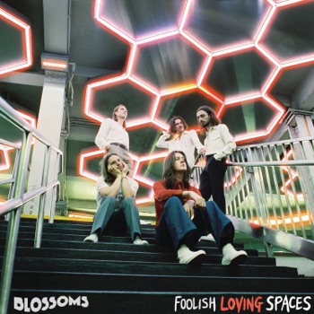 Foto de Foolish Loving Spaces