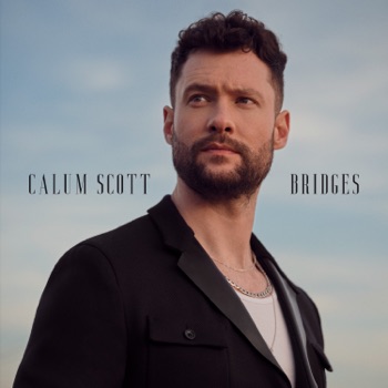 Cover de Bridges