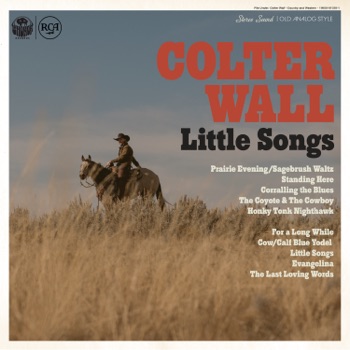 Cover de Little Songs