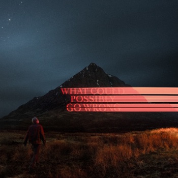Cover de What Could Possibly Go Wrong