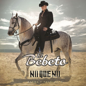 Cover de No Que No
