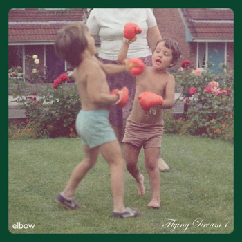 Cover de Flying Dream 1
