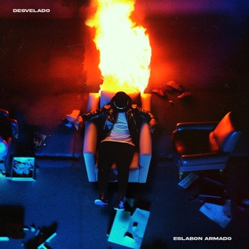 Cover de Desvelado