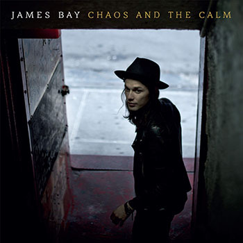 Cover de Chaos And The Calm