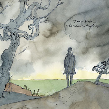 Cover de The Colour In Anything