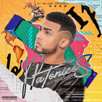 Cover de Plat&oacute;nicos