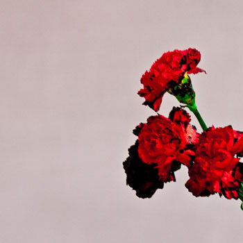 Cover de Love In The Future