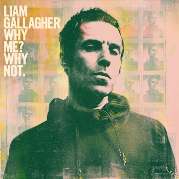 Cover de Why Me? Why Not.