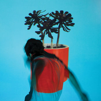 Cover de Sunlit Youth