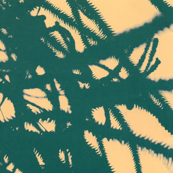 Foto de Microscopic Movies
