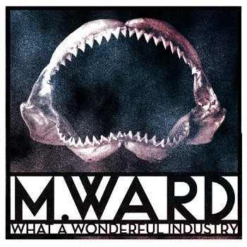 Cover de What A Wonderful Industry