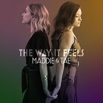 Cover de The Way It Feels