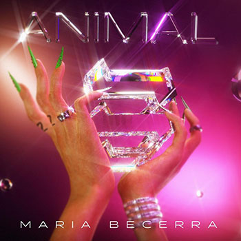 Foto de Animal