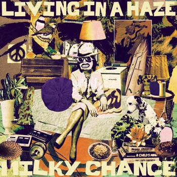 Cover de Living In A Haze