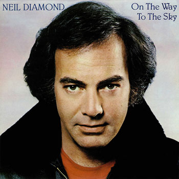 Cover de On The Way To The Sky