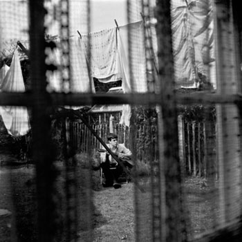 Foto de Chaos And Creation In The Backyard