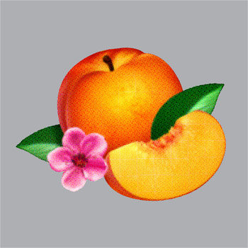 Cover de Bankrupt!