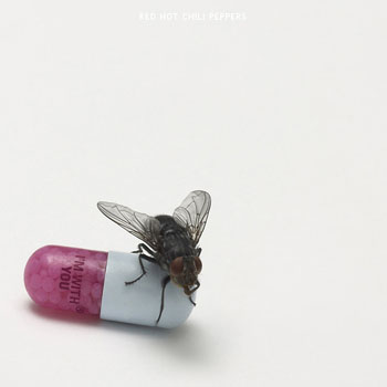 Cover de I'm With You