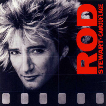 Cover de Camouflage
