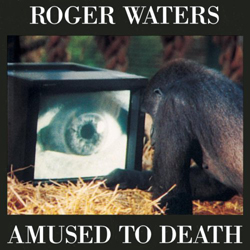 Cover de Amused To Death