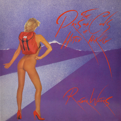 Cover de The Pros And Cons Of Hitch Hiking