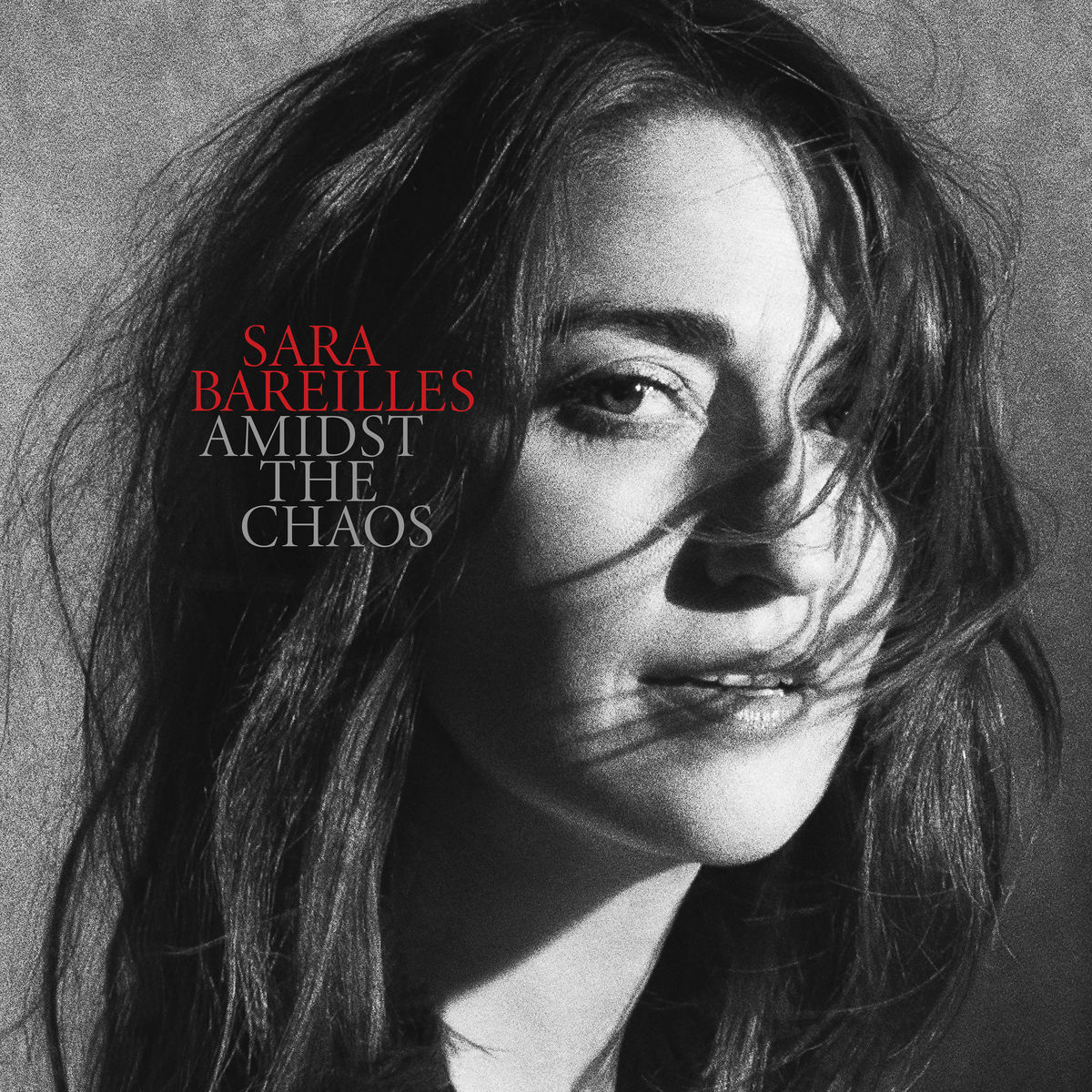 Cover de Amidst The Chaos