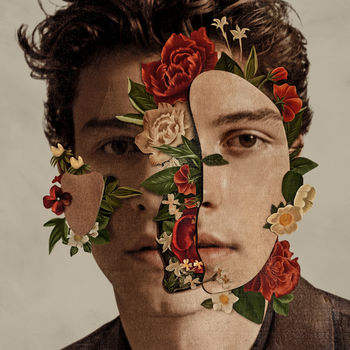 Cover de Shawn Mendes