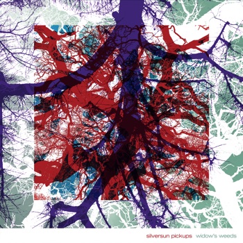 Cover de Widow's Weeds