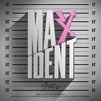 Foto de Maxident