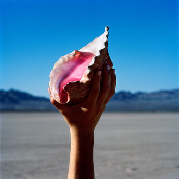 Cover de Wonderful Wonderful
