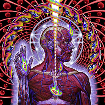 Cover de Lateralus