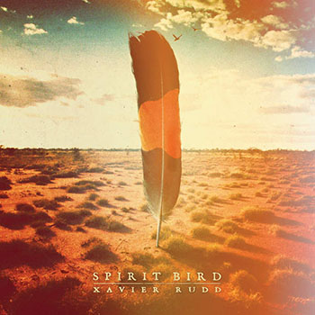 Foto de Spirit Bird